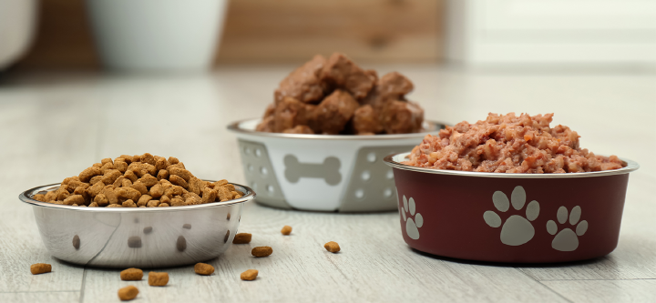 themenwelt themeneinstieg hundeernaehrung nass trocken futter 1600x740